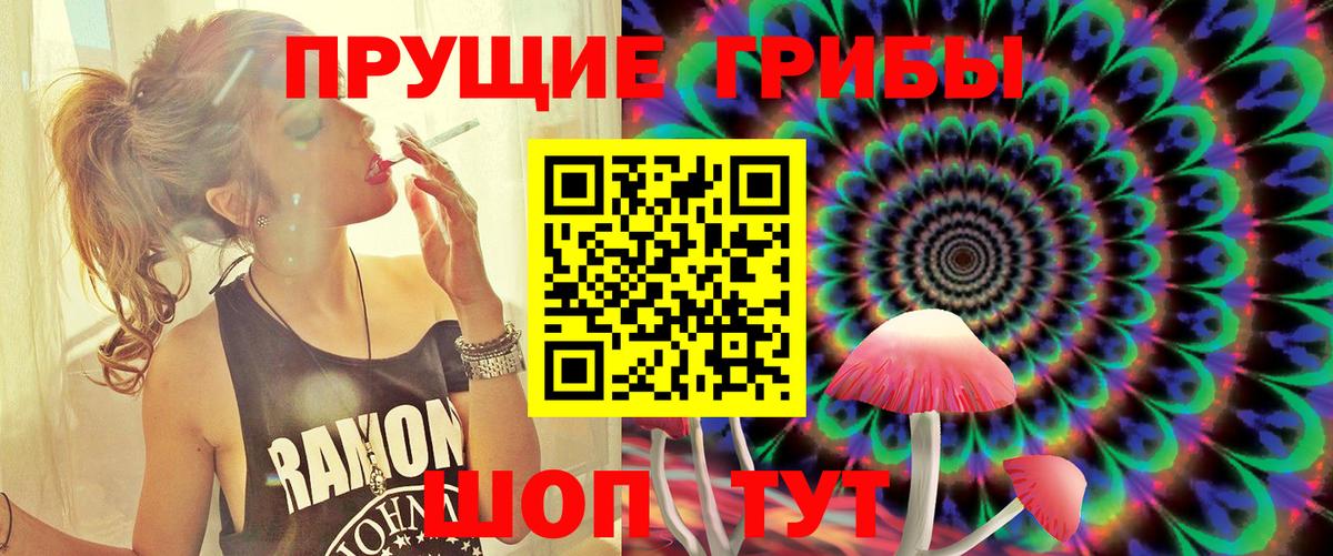 Дагестанские Огни  Псилоцибиновые грибы мухоморы  Вход с VPN 